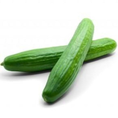 Cucumber, Long English, Individual