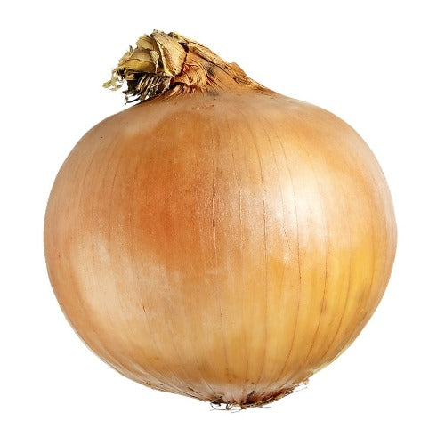 Onion, Yellow, Individual