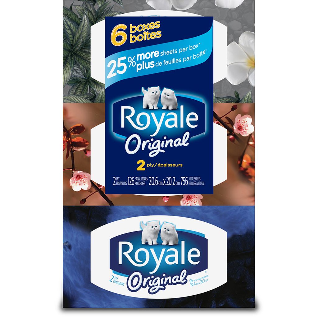 Royale Facial Tissues, 2-Ply, 126 facial tissues, 6 boxes