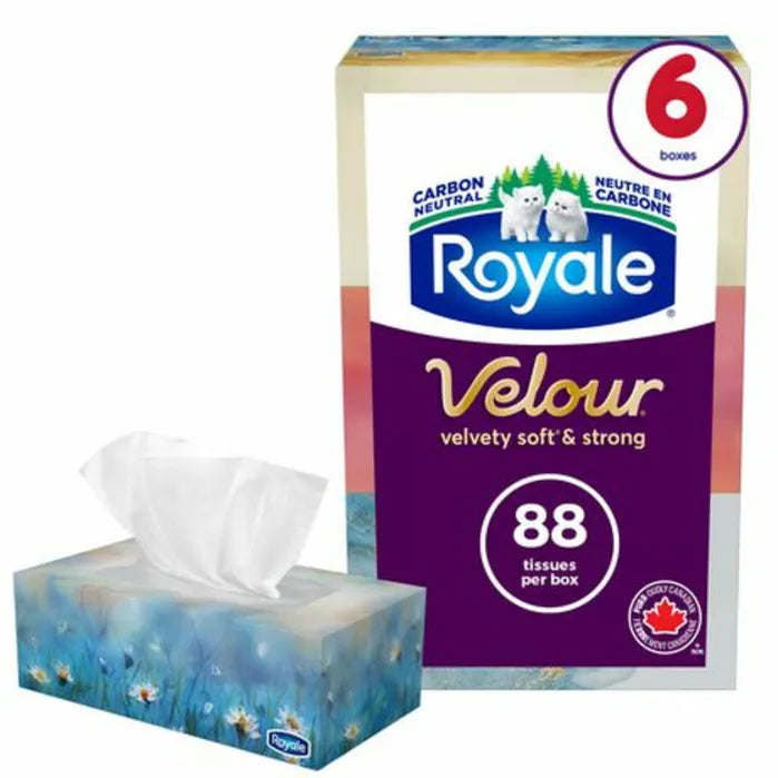 Royale Facial Tissues, Velour, 3 Ply, 82 per Box, 6 Boxes